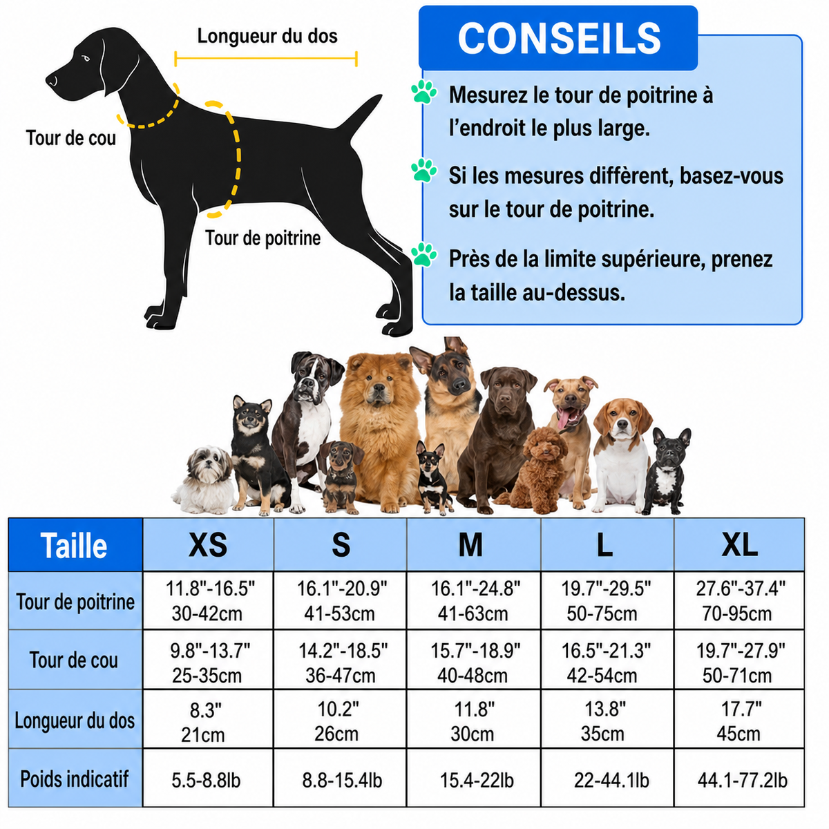 Guide des tailles français du gilet de sauvetage Fitzano pour chien