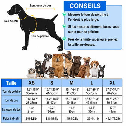 Guide des tailles français du gilet de sauvetage Fitzano pour chien